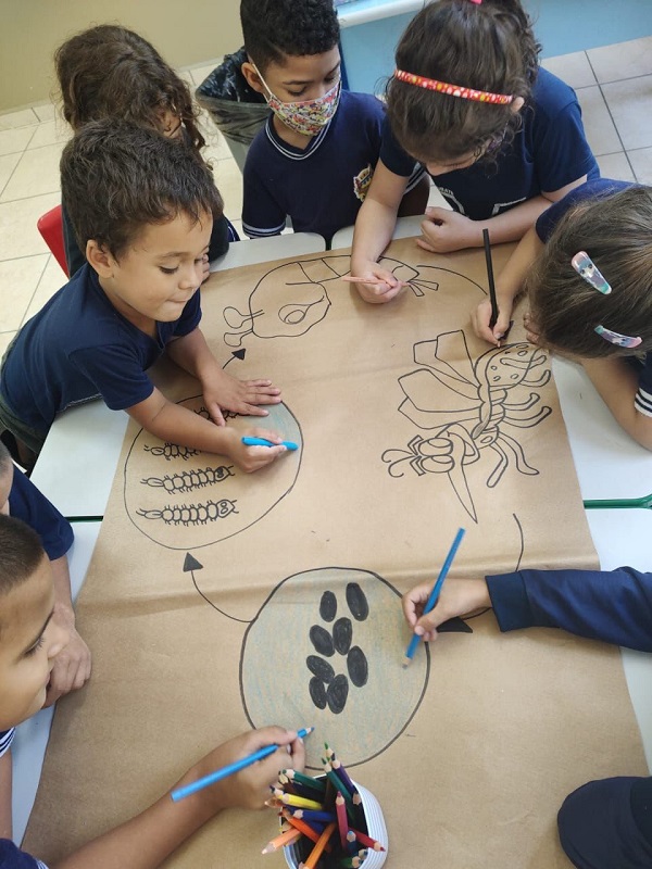 Sistema de Ensino de Taubaté abre período de matrículas e transferências