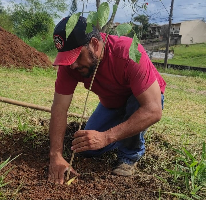 Projeto Reflorestando Taubaté realiza plantio no bairro Campos Elíseos