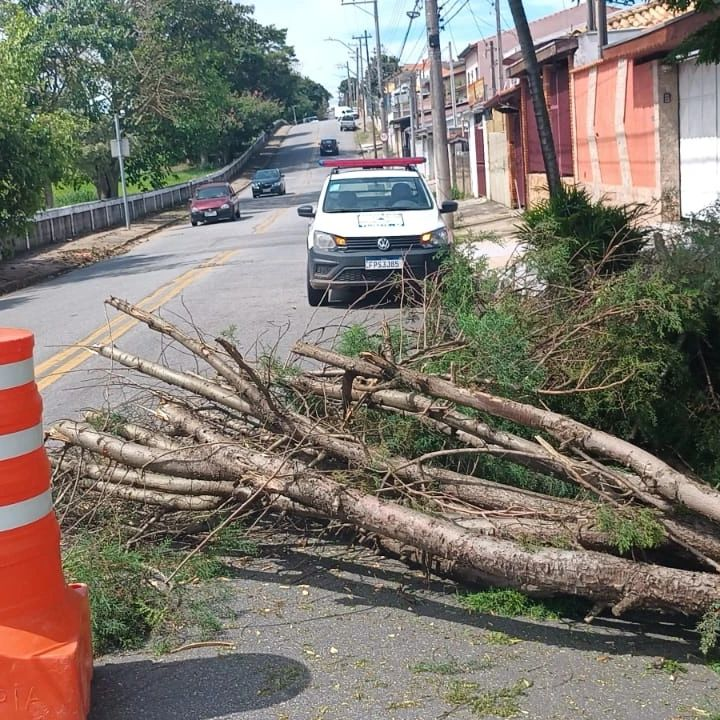 Defesa Civil atende diversas ocorrências causadas pela chuva deste domingo