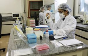 Pesquisadores da USP avançam em estudo para desenvolver vacina contra a febre maculosa