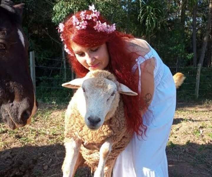 Direito Animal em foco – Você sabe qual é a diferença entre zoológico e santuário de animais?