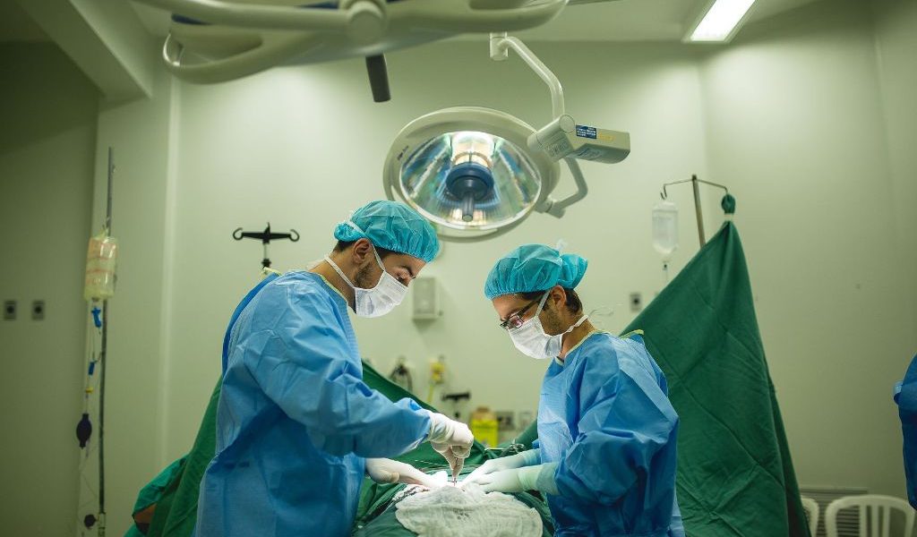 Secretaria da Saúde registra aumento de 8% no número de transplantes de coração em 2023