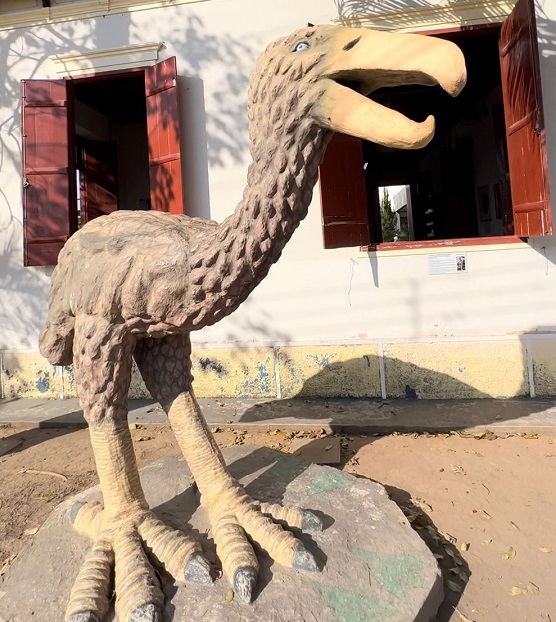 Dia Internacional do Fóssil: paleontólogo tremembeense fala sobre descobertas no município