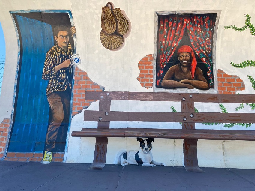 Projeto Semeando Cores faz revitalização artística em abrigo de ônibus de Taubaté