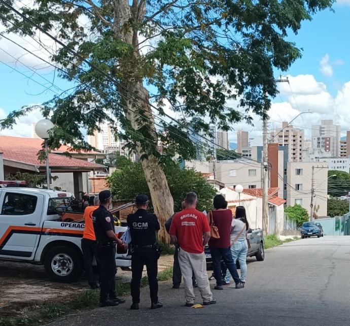 Ação ilegal contra árvore em Taubaté resulta em multa de R$ 772,74