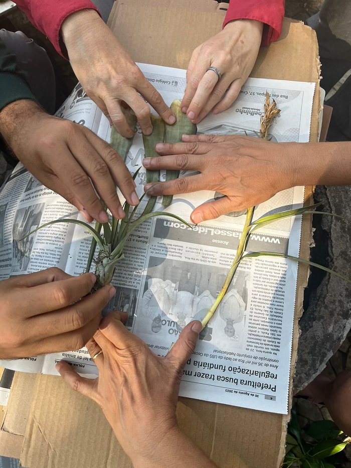 Curso em Lagoinha, neste final de semana, vai ensinar técnicas de coleta de sementes e identificação e marcação de matrizes florestais