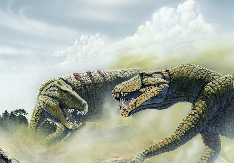 Em breve: Museu na cidade de General Salgado