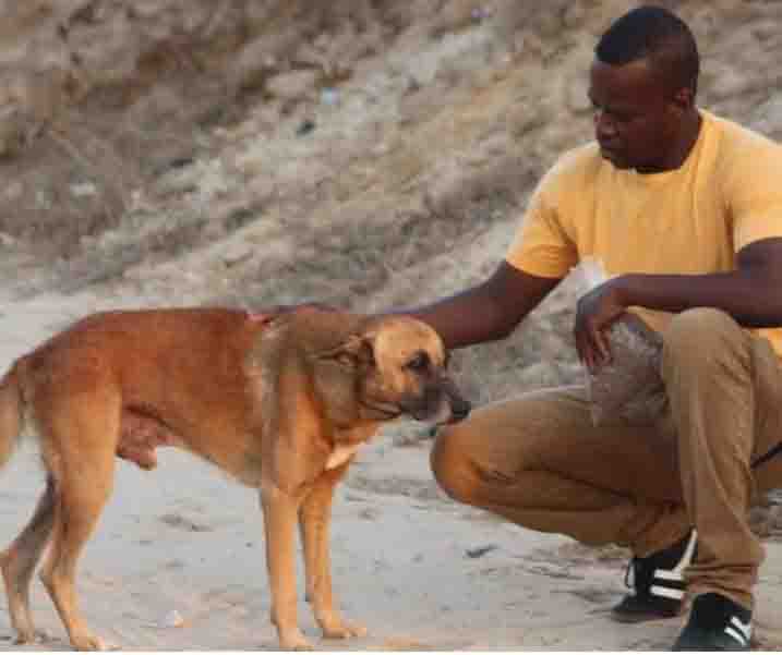 Direito Animal em foco – Ativista luta para salvar cães e gatos que sofrem em meio a bombardeios na Faixa de Gaza