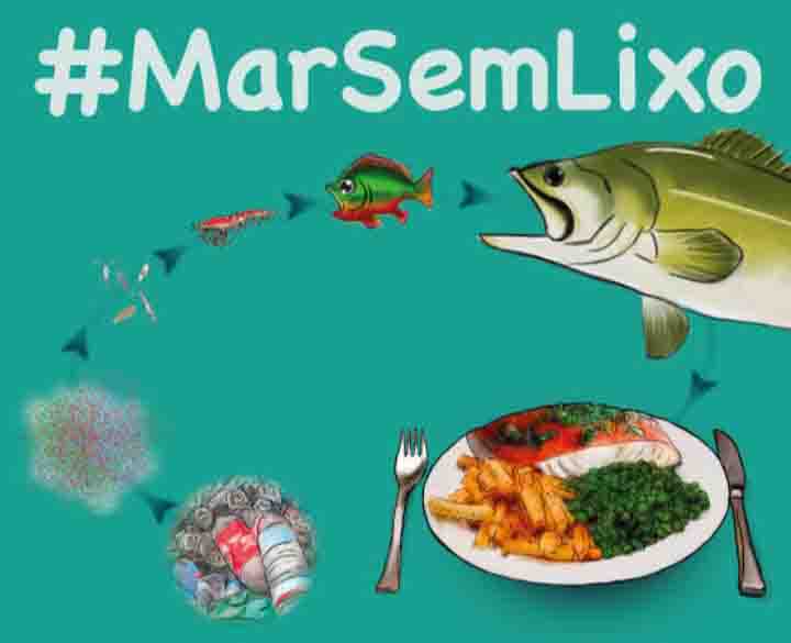 Direito Animal em foco – Microplásticos encontrados nas artérias aumentam risco de infarto e AVC