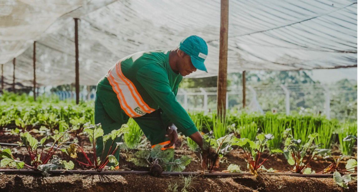 Educação ambiental é o primeiro passo para o descarte correto de resíduos e para a preservação ambiental