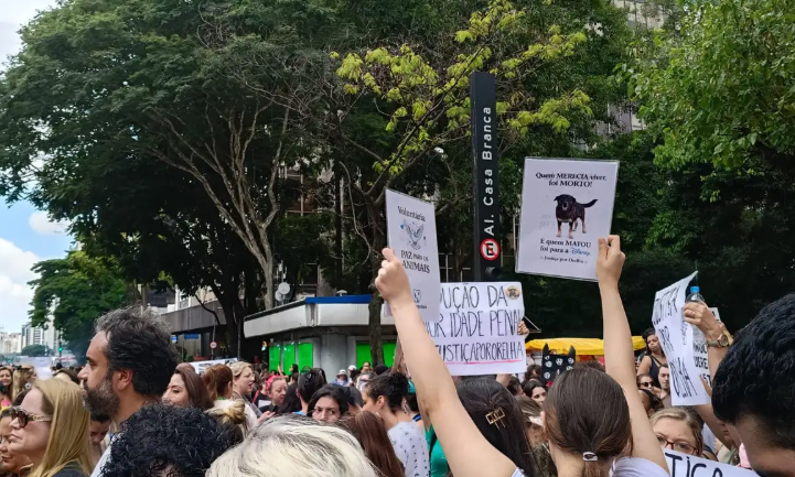 Santa Catarina – Cão Orelha: Justiça arquiva caso a pedido do Ministério Público