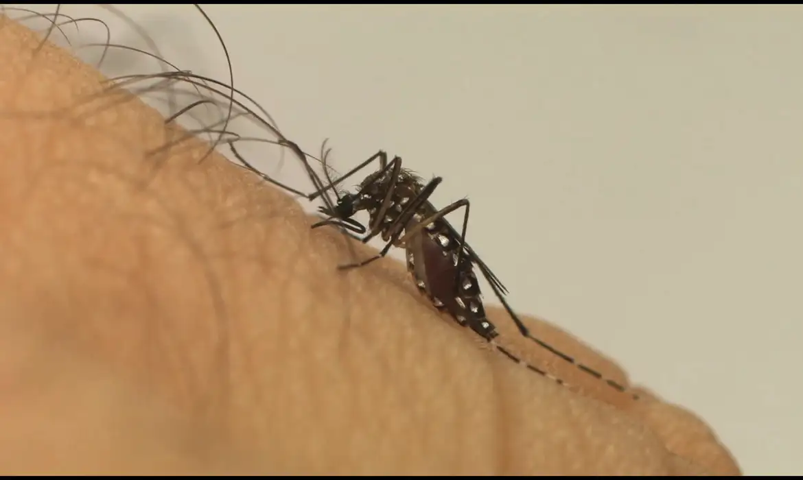 Taubaté confirma quarta morte por dengue; município registra 2.452 casos