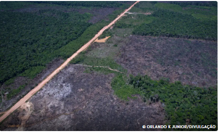 Desmatamento na Amazônia cai 36,87% no último ano